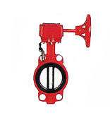 FDX��̖���y